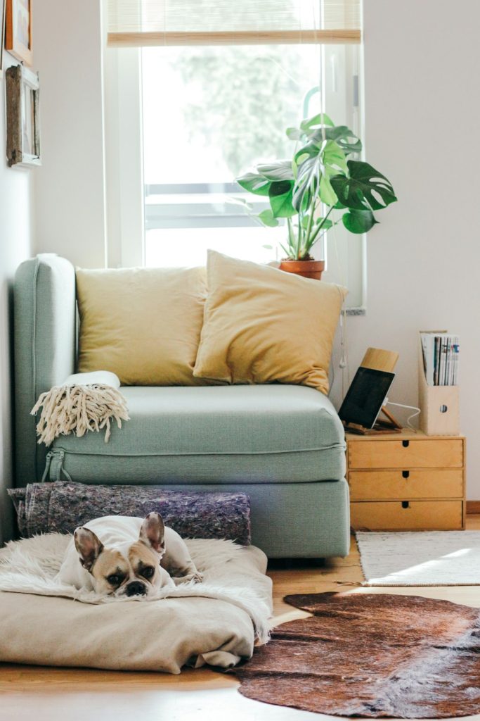 Good home security system for a better peace of mind